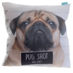 Fun Design Cushion with Insert - Pug Shot