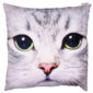 Decorative Cat Print Cushion