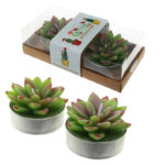 Fun Decorative Open Leaf Cactus Candles – Set of 2 Tea Lights