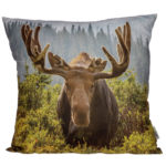 Cushion with Insert - Moose Photo 50 x 50cm