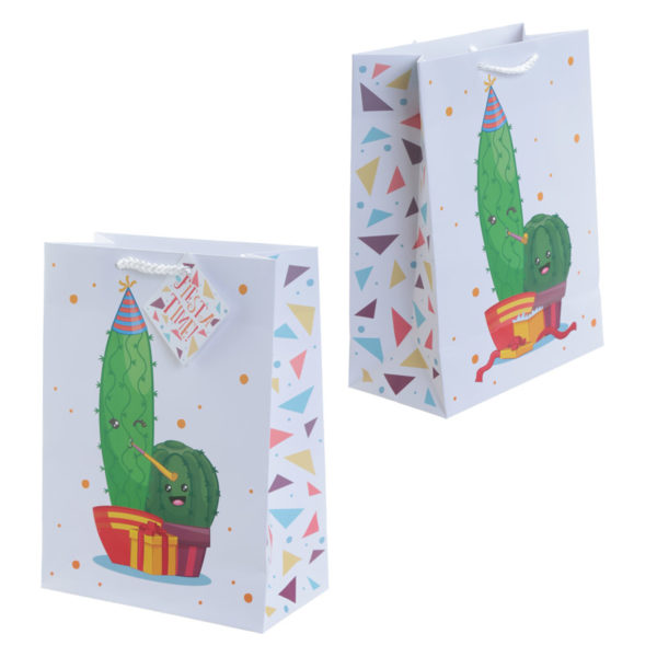 Fun Cactus Design Medium Glossy Gift Bag Fun Cactus Design Medium Glossy Gift Bag