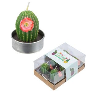 Fun Mini Candles - Spiky Cactus with Flower Set of 6 Tea Lights
